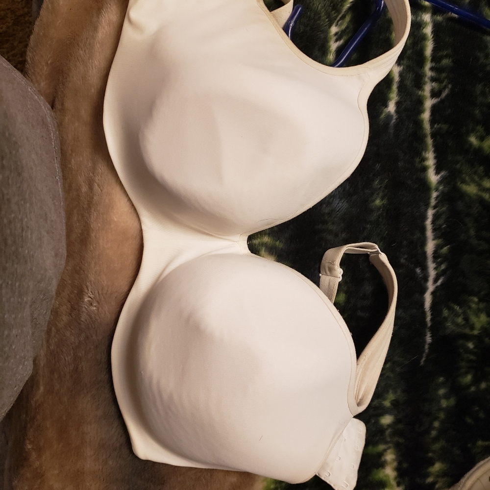 38g cacique bra